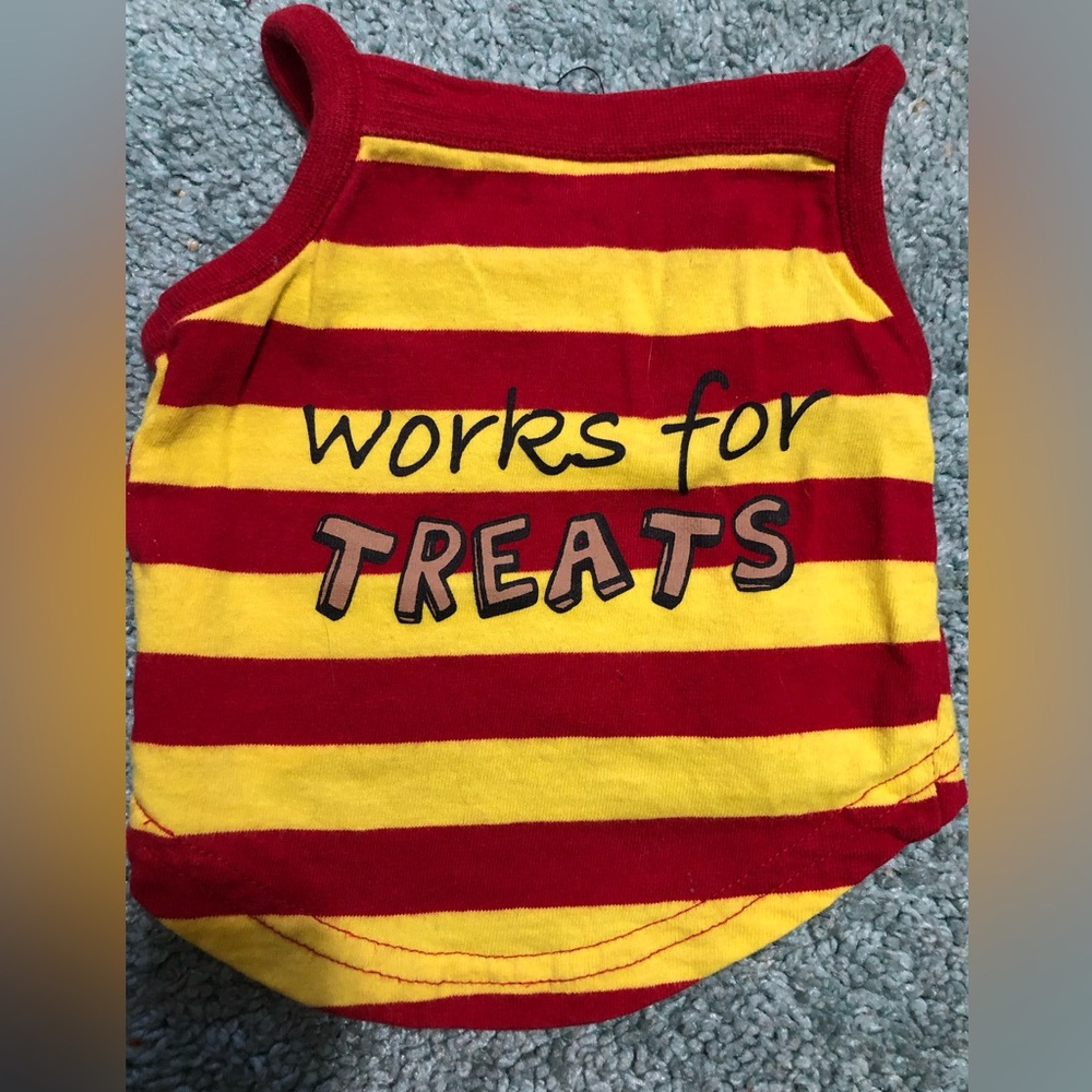 Small Dog - lap dog outfit